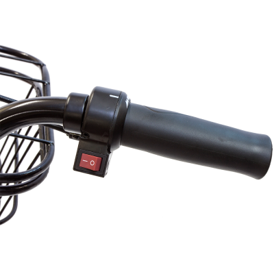 Трехколесный электровелосипед E-motions Kangoo 700W Трехколесный электровелосипед E-motions Kangoo 700W