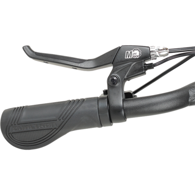 Электросамокат Dualtron Raptor Электросамокат Dualtron Raptor