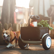 Мини сегвей NINEBOT MINI PLUS