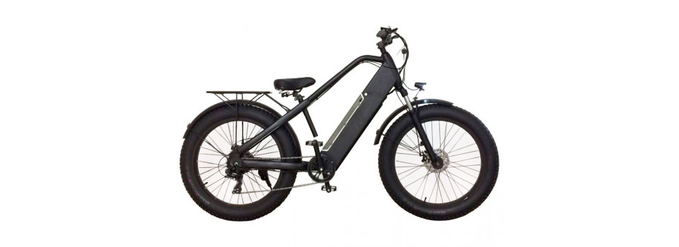 Выбор электрофэтбайка